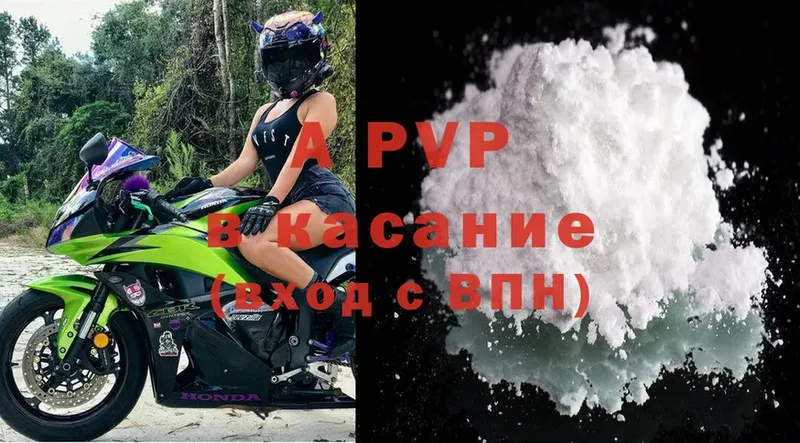 A PVP СК КРИС  Нефтегорск 