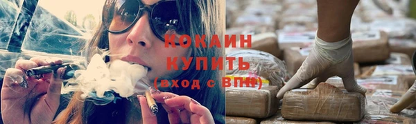 гашик Няндома