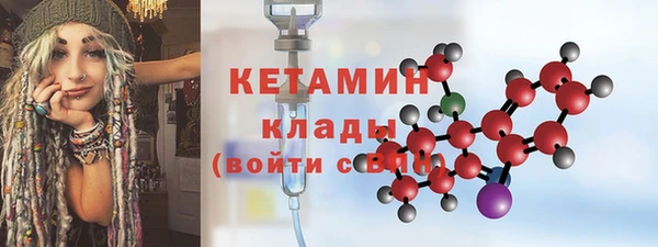 гашик Няндома