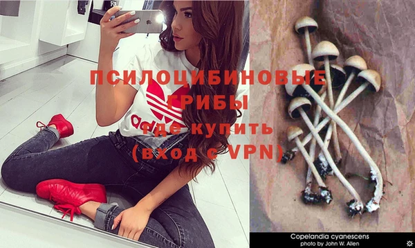 твердый Нязепетровск