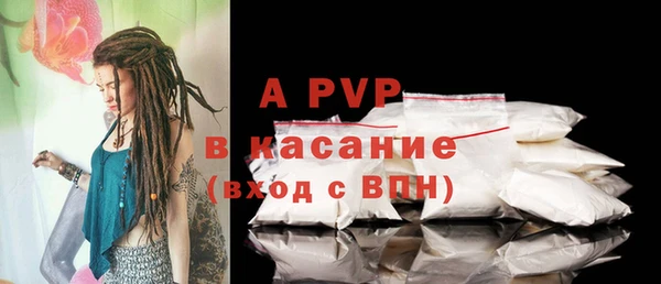 прущие грибы Новокубанск