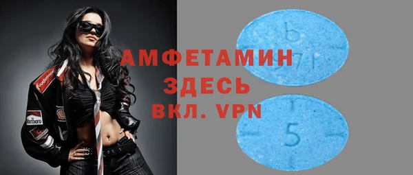 сатива Нягань