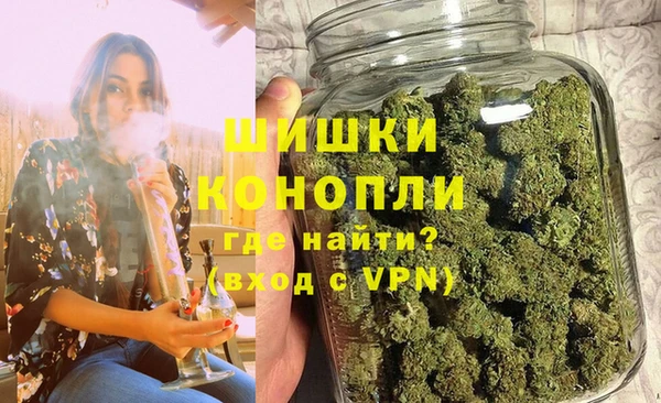 сатива Нягань