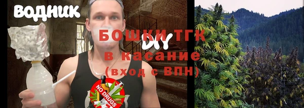 прущие грибы Новокубанск