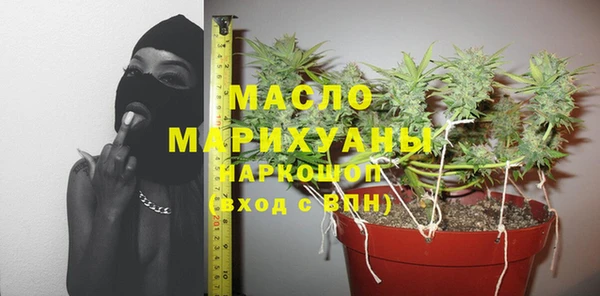гашик Няндома