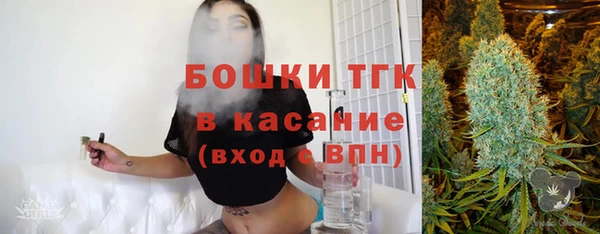 гашик Няндома