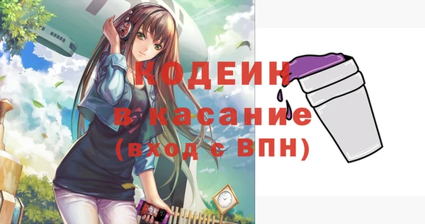 гашик Новодвинск