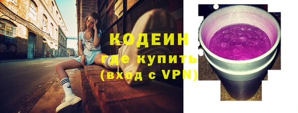 СК Новозыбков