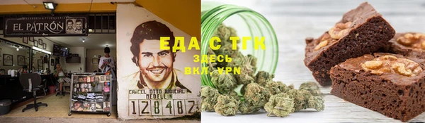 СК Новозыбков